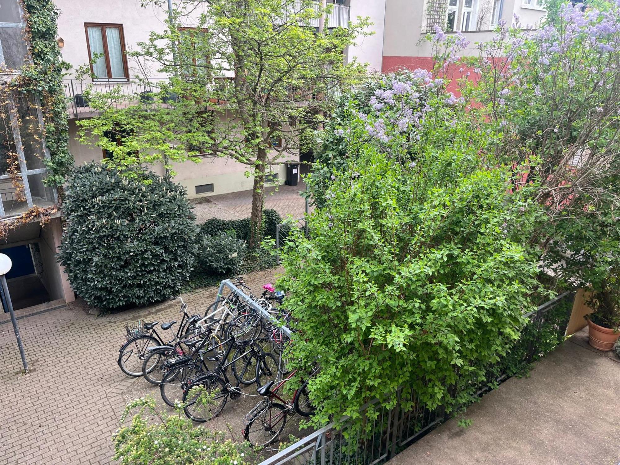 Haus Schoenwald Фрайбург Екстериор снимка