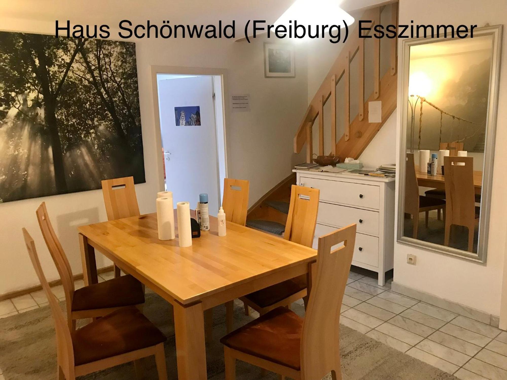Haus Schoenwald Фрайбург Екстериор снимка